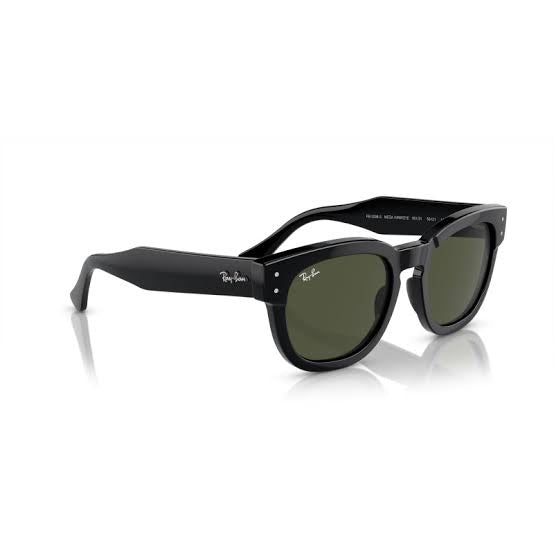 Ray Sunglasses
