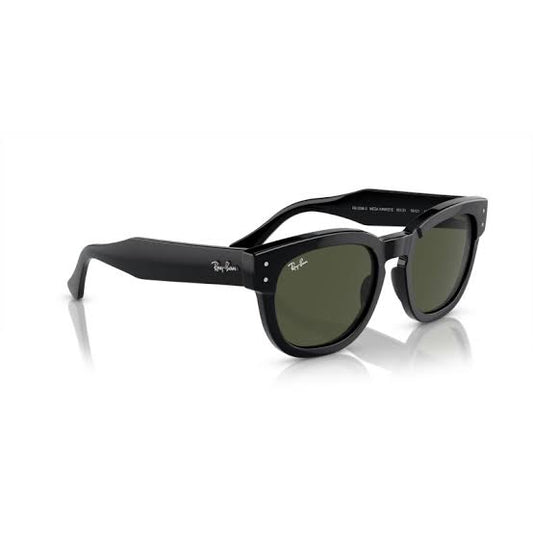Ray Sunglasses