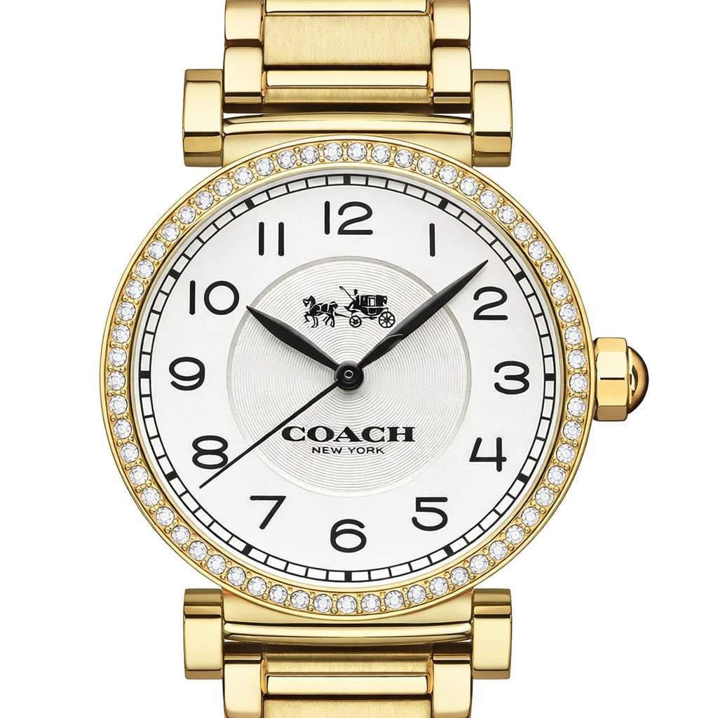 The WATCH : COACH Madison