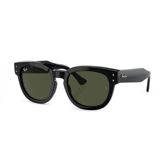 Ray Sunglasses