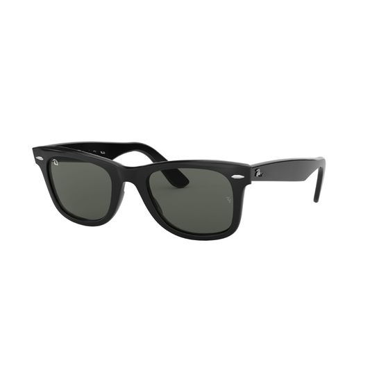 Wayfarer Sunglasses