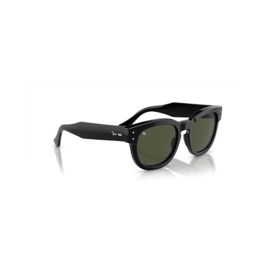 Ray Sunglasses